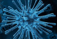 Meget tyder på, at coronavirus ikke længere er årsag til alvorlig sygdom